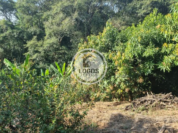 sitio-venda-retiro-do-moinho-sao-joaquim-de-bicas-minas-gerais-1058423