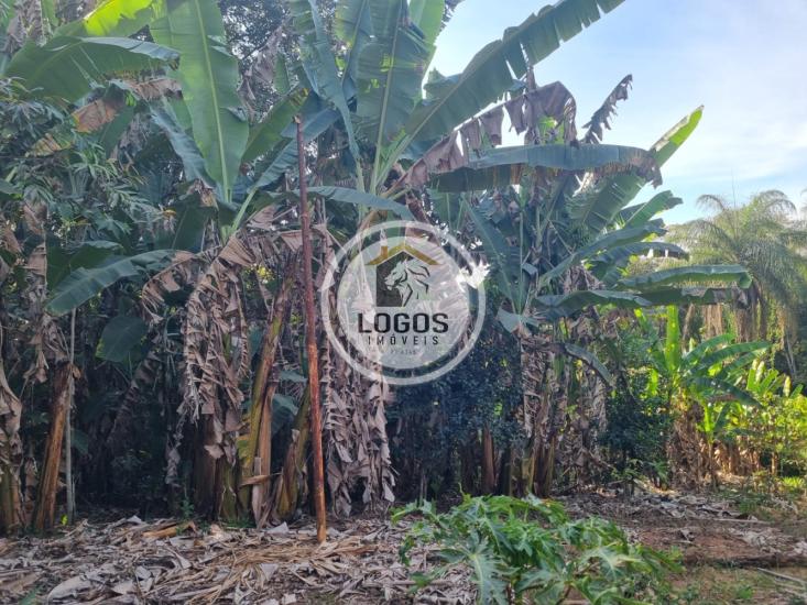 sitio-venda-retiro-do-moinho-sao-joaquim-de-bicas-minas-gerais-1058429