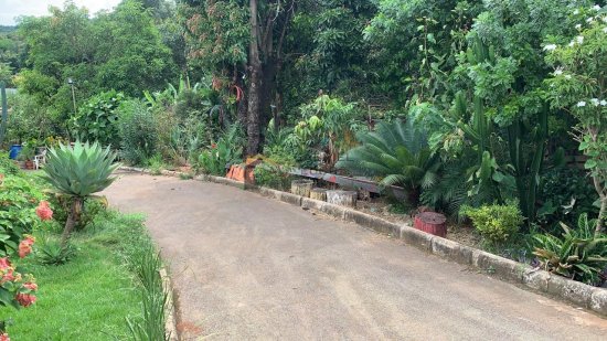 lote-venda-igarape-294503