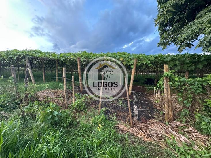 lote-venda-farofa-sao-joaquim-de-bicas-1068482